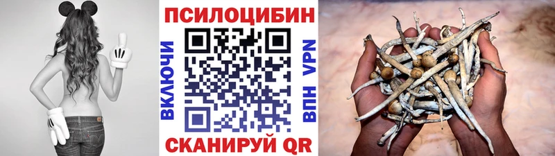 Псилоцибиновые грибы GOLDEN TEACHER  Райчихинск 